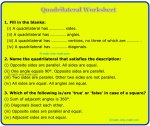 Quadrilateral Worksheet