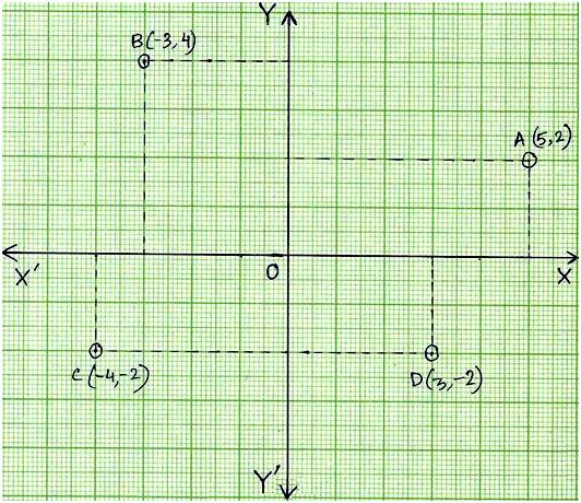 Find the Coordinates of a Point |Locate the Position of Point ...