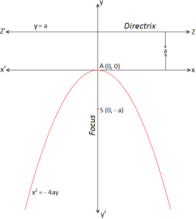 Standard Form Of Parabola X^2 = -4ay 