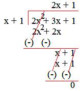 algebraic division expression monomial polynomial solution math