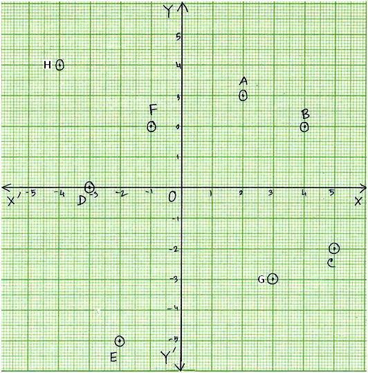 worksheet on coordinate point questions are based on coordinate graph