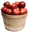 15 Apples in a Basket