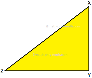 Measure all the Line Segments of the Triangle