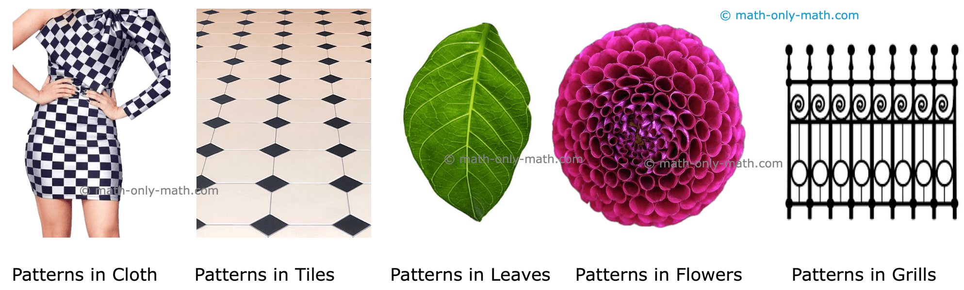 Patterns Around Us