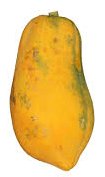 Ripe Papaya